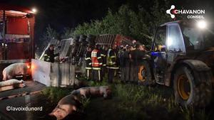 120 pigs killed in a road accident, on 21/06, between Lille and Dunkirk.