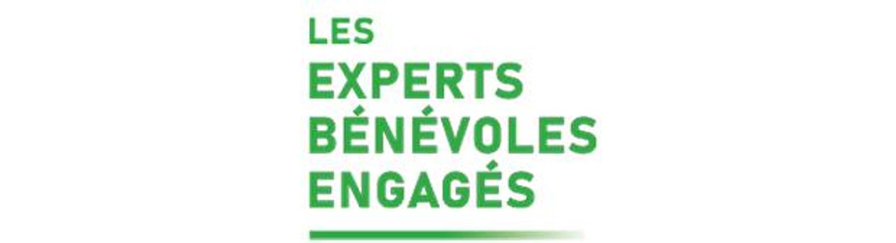 Logo Experts benevoles engagés